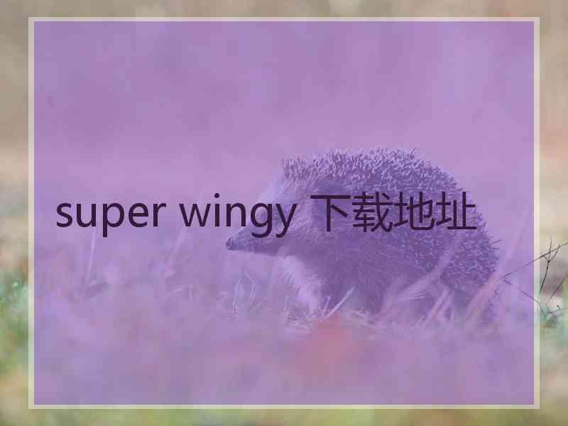 super wingy 下载地址