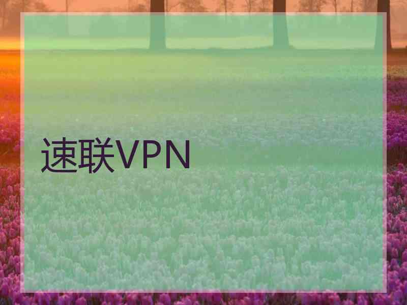 速联VPN