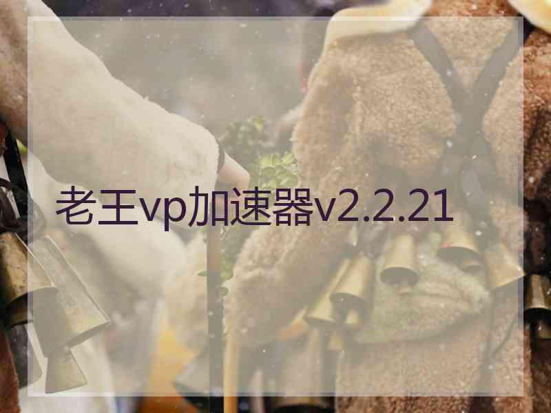老王vp加速器v2.2.21